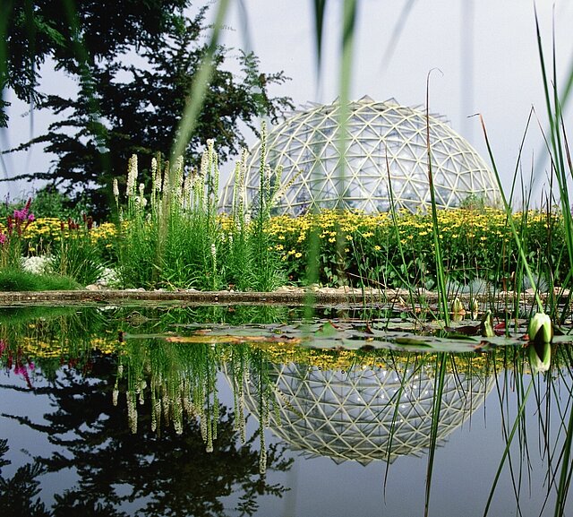 Botanischer Garten alt